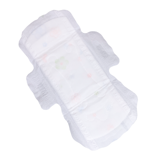 Silk Women Menstrual Sanitary Napkin 250mm Pad Feminen Hygiene Products OEM Service - Image 2