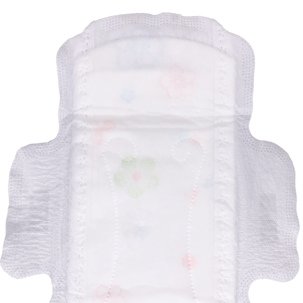 Silk Women Menstrual Sanitary Napkin 250mm Pad Feminen Hygiene Products OEM Service - Image 5
