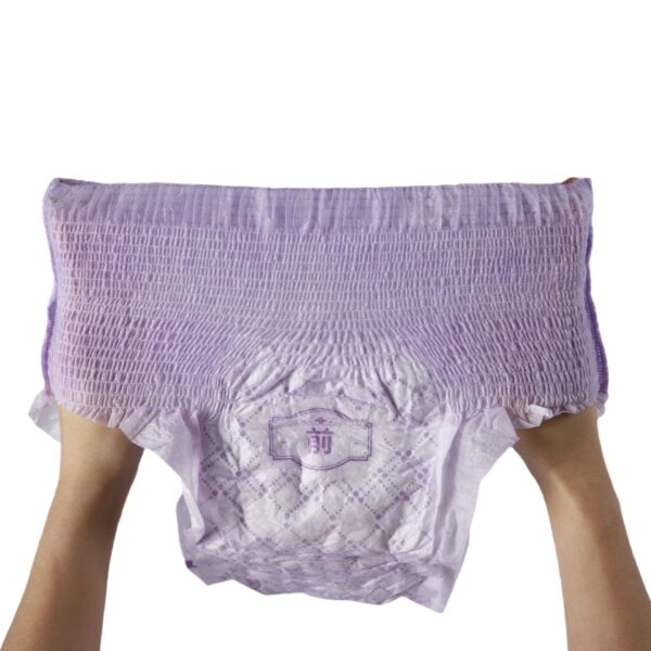 Disposable High Quality Soft Surface Sanitary Pant Women Sanitary Napkin Factory Price — изображение 2