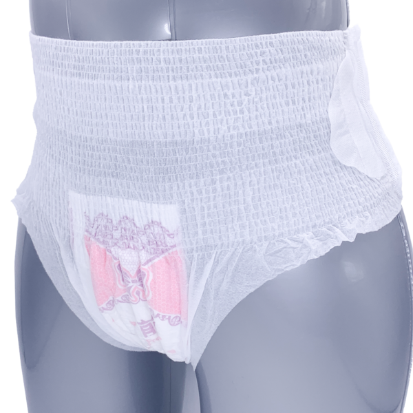 Teen Girls Menstrual Period Diaper High Absorbency Magic Tape Sanitary Pants — изображение 3